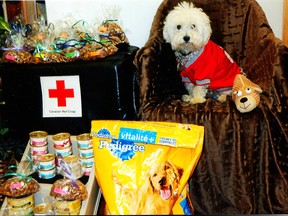 Teddy believes that it is important to support the community and gives generously to the Red Cross PET Meals on Wheels program and Food Bank.
