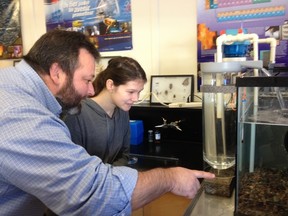 Franco Ouest teacher Roc Lariviere and student Renee Desbiens keep a close eye on the micro hatchery at the Espanola school. The hatchery was placed in the school by the United Walleye Clubs and has been a big hit with Lariviere's science class.