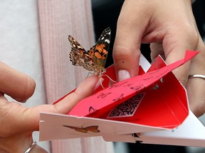 The North East Suicide Prevention Network held a butterfly release in Bell Park to mark World Suicide Prevention Day in Sudbury, Ont. on Thursday September 10, 2015.