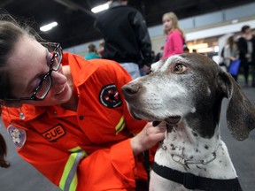 Canadian Search and Disaster Association's Elisa Ferrarin chats with her dog JaXX  at the Pet Expo at the Edmonton Expo Centre in Edmonton, Alberta on Saturday Jan.24, 2015. . Perry Mah/Edmonton Sun
