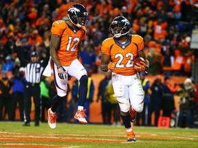 Denver Broncos running back C.J. Anderson celebrates with wide receiver Andre Caldwell after a touchdown run against the Pittsburgh Steelers during a divisional round playoff game at Sports Authority Field at Mile High in Denver on Jan. 17, 2016. (Mark J. Rebilas/USA TODAY Sports)