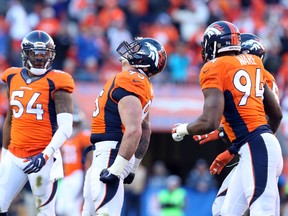 Denver Broncos defensive end Derek Wolfe (centre) reacts after sacking Pittsburgh Steelers quarterback Ben Roethlisberger during the second quarter of the AFC Divisional round playoff game at Sports Authority Field at Mile High in Denver on Jan. 17, 2016. (Matthew Emmons/USA TODAY Sports)