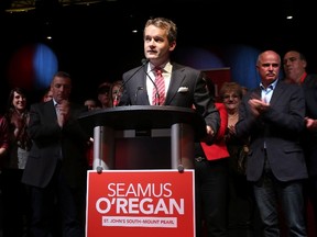 Seamus O'Regan, flanked by supporters, makes his acceptance speech at the Delta Hotel in downtown St. John's following his win in the district of St. John's South on Oct. 19, 2015. Newly-elected Liberal MP and former broadcast journalist O'Regan says he has entered a wellness program to adopt "an alcohol free lifestyle." (THE CANADIAN PRESS/Paul Daly)