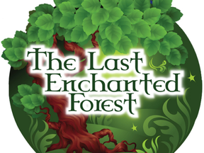 last enchanted forest