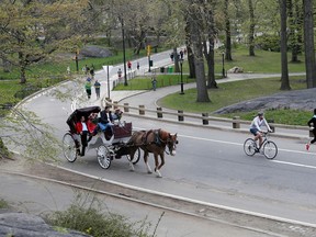 This April 28, 2014, file photo shows a horse-drawn carriage rides through Central Park, in New York.  New York City officials are close to a deal that would save Central Park's horse-drawn carriages from a threatened ban. (AP Photo/Kathy Willens, File)