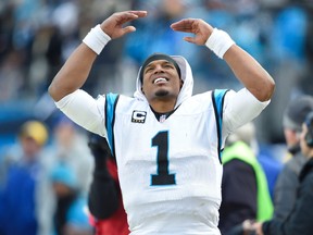 Carolina Panthers quarterback Cam Newton reacts during the fourth quarter against the Seattle Seahawks in a NFC Divisional round playoff game at Bank of America Stadium in Charlotte on Jan. 17, 2016. (John David Mercer/USA TODAY Sports)