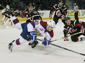 Edmonton Oil Kings Mads Eller gets tripped by Moose Jaw Warriors Jesse Shynkaruk during first period action on Tuesday Jan. 19, 2016 at Rexall Place. Tom Braid/Edmonton Sun/Postmedia Network.