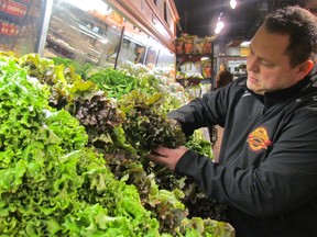 Store manager Joe South checks the lettuce display at the Sunripe store on Wednesday January 20, 2016 in Sarnia, Ont. Higher produce prices in Canada are being blamed on poor weather in California, Florida and Mexico, along with the low Canadian dollar and a trucking shortage in the U.S. (Paul Morden, The Observer)