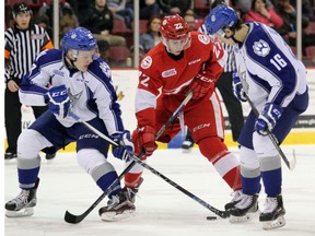 Sudbury Wolves forward Macauley Carson (left to right), Soo Greyhounds centre Liam Hawel and Wolves centre Ryan Valentini, jockey for puck possession during first-period play Wednesday, Jan. 20, 2016 at Essar Centre in Sault Ste. Marie, Ont.