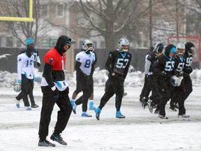 Carolina Panthers quarterback Cam Newton, left, walks across a practice field covered in snow and ice, Friday, Jan. 22, 2016, in Charlotte, N.C. (Jeff Siner/The Charlotte Observer via AP)