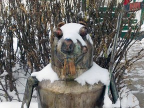 Someone with the right equipment -- or superhuman strength -- uprooted and stole a cedar bench and a metal beaver holding a hockey stick from the corner lot at 11256 125th Street on Jan. 22, 2016. Police are investigating. PHOTO SUPPLIED