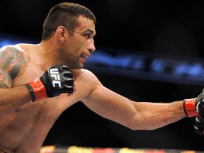 Fabricio Werdum. (David Manning/USA TODAY Sports)