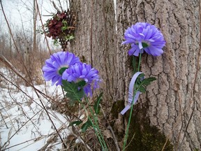 An improvised memorial of flowers and a dog collar mark the spot where three dead dogs were found near the Ausable Bayfield Conservation Authority's Hay Swamp area near Exeter. (DEREK RUTTAN, The London Free Press)