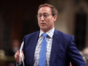 Peter MacKay (THE CANADIAN PRESS/Fred Chartrand)
