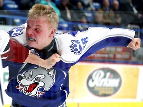 Sudbury Wolves winger Macauley Carson winds up a big left hand during a fight with the Guelph Storm's Levi Tetrault last Sunday at Sudbury Community Arena. The big rookie has taken on a much bigger role with the Wolves during the second half of the OHL season.