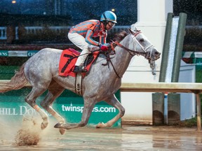 Conquest Big E will be at Gulfstream tomorrow to race in the $350,000 Holy Bull Stakes. Mark Casse’s colt is considered a Kentucky Derby hopeful.
photographer/eclipse sportswire