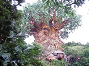 The Tree of Life is seen at Disney's Animal Kingdom Park in Bay Lake, Fla., in this 2003 file photo. (Charlie McDougall/Postmedia Network File Photo)