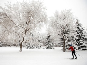 Frosted snow flakes. Helge Halvorsen cross country skies through Gold Bar Park, in Edmonton Alta. on Wednesday Jan. 20, 2016. David Bloom