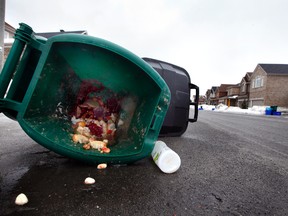 A green compost bin sits overturned on a residential street in Ottawa's Riverside South community Thursday. FILE pic (Darren Brown)