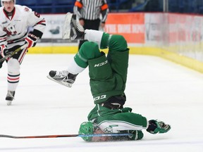 David Levin, of the Sudbury Wolves, crashes to the ice after being upended by Aleksander Mikulovich, of the Niagara IceDogs, during OHL action at the Sudbury Community Arena on Jan. 29, 2016. This photo is one of two taken last year by Star photographer John Lappa to earn a nomination for an Ontario Newspaper Award.