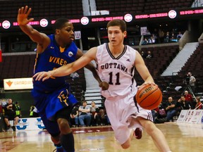 Gee-Gees point guard Mike L'Africain. (Errol McGihon, Ottawa Sun file)