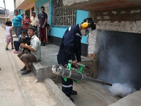 A health worker fumigates against the Aedes aegypti mosquito, a vector of the Dengue, Chikunguya and Zika viruses, inside a house in Lima, Peru, Friday, Jan. 29, 2016. The Zika virus causes only a mild illness in most people. But there's mounting evidence linking it to a birth defect, especially in Brazil. (AP Photo/Martin Mejia)