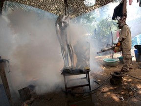 A worker fumigates the Plan 3000 District as a preventive measure against the Zika virus and other mosquito-borne diseases in Santa Cruz, Bolivia, January 29, 2016. (REUTERS/Daniel Walker)