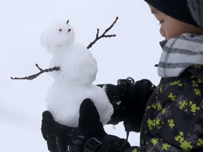Winnipeggers went outside in large numbers today with weather that was especially mild, including six-year-old Christiano, who plays with with a small snowman. Saturday, January 30, 2016.   (Sun/Postmedia Network)