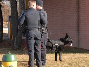 St. Thomas Police K-9 unit on scene of a jewelry store robbery Monday afternoon. (Ian McCallum/Times-Journal)