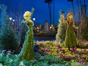 Frozen's Anna and Elsa appear in full floral splendour at Epcot's International Flower & Garden Festival. MATT STROSHANE PHOTO