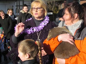 Cindy Kramer, principal of Lambton Centennial Public School near Petrolia, announces to students that spring is on the way after consulting with Oil Springs Ollie, being held by Peggy Jenkins, founder of Heaven's Wildlife Rescue, on Tuesday February 2, 2016 in Enniskillen Township, Ont. The sun was out by the time of the announcement at the school after 9:30 a.m., but Jenkins said Ollie didn't see his shadow when his official prediction was made at 7 a.m. (Paul Morden, The Observer)