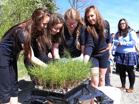 In this file photo Ecole secondaire du Sacre-Coeur students prepare to plant trees at the Sudbury, ON. school in Sudbury on Tuesday, May 27, 2014. John Lappa/Sudbury Star/Postmedia Network
