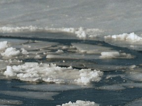 The threesome were walking on the ice just north of the bridge, which connects Strandherd Drive in Barrhaven and Earl Armstrong Road in Riverside South, at about 4:30 p.m. when they broke through the ice and were plunged into the frigid water.