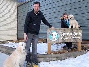 Tillsonburg's Amy and Dave Nadeau, Cannon Creek Dog Boarding, Grooming and Daycare. (CHRIS ABBOTT/TILLSONBURG NEWS)