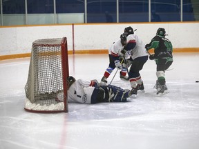 PCE peewee hockey Jan. 26, 2016_2