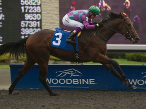 Ami’s Flatter finished a disappointing eighth at last year’s Queen’s Plate, but is off to a hot start as a four-year-old this winter. (MICHAEL BURNS/PHOTO)