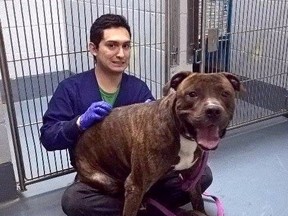 Chopper, shown here with Animal Care attendant Carlos Herrera, will have a new home in Alberta. (Supplied photo)