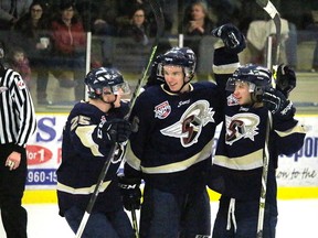 After a tough loss to Lloydminster on Jan 29, the Saints soundly beat the Grande Prairie Storm on Jan. 30 at the Grant Fuhr Arena. Above, the pack of Saints celebrate Nicolas Correale’s first period goal in the 4-1 victory.  - photo by Mitch Goldenberg