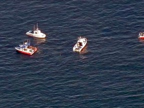 In this still frame from video provided by KABC-TV, a flotilla of boats search for wreckage from two small planes that collided in midair and plunged into the ocean off of Los Angeles harbor Friday, Feb. 5, 2016. There was no immediate word of any survivors, authorities said. The planes collided at around 3:30 p.m. and apparently went into the water about two miles outside the harbor entrance, U.S. Coast Guard and other officials said.(KABC-TV via AP)