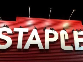 Ravens perched on the Staples sign in Terra Losa Shopping Centre, at 9570 170th St. Numerous ravens sat on other signs throughout the shopping centre, surprising shoppers as they flew overhead.