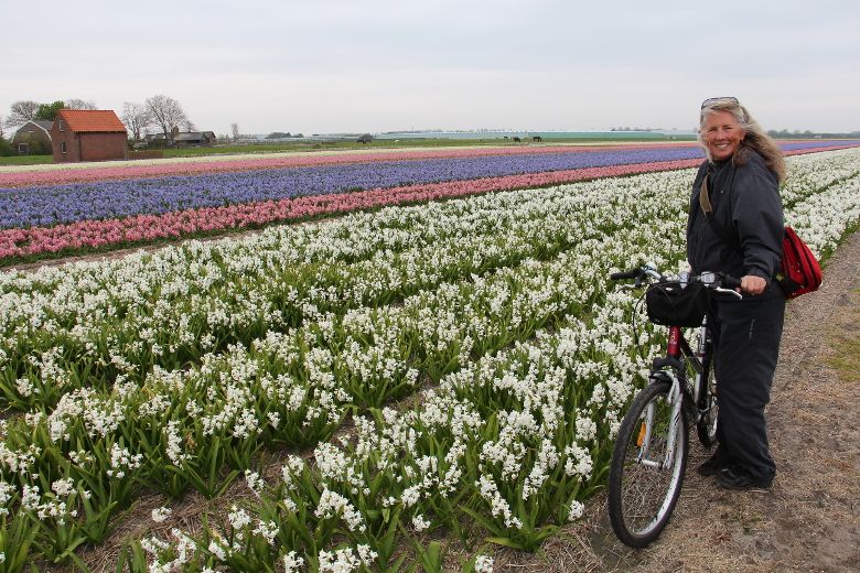 The Netherlands: Go Dutch On A Leisurely Bike Ride Through Blankets Of ...