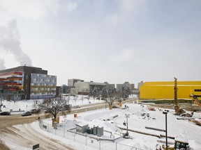 The University of Alberta campus is blanketed in a covering of fresh snow after days of snowfall in Edmonton, Alta., on Monday, March 18, 2013.Postmedia Network