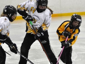 Paige Christie (64) of the Mitchell U10 ringette team corrals the ring at the edge of her own zone during WRRL regular season action against visiting Dorchester and their U9 team last Saturday, Feb. 6. ANDY BADER/MITCHELL ADVOCATE