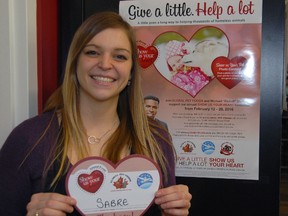 Global Pet Foods co-owner Erica Dixon shows off a paper heart with her pet's name to kick off the store's annual Show Us Your Heart campaign. Money collected during the two week initiative at the St. Thomas store stays in the community, benefitting All Breed Animal Rescue and Animal Aide.