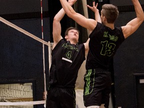 An ominous defensive front has been a key part of the Red Deer Kings’ success in ACAC volleyball this season. Left to right, each standing at least 6-foot-5 and owning excellent leaping skills and timing, are Australian import Regan Fathers, Tom Lyon and Nic Dubinsky. Shown here are Luke Brisbane, left, setting up Lyon for a spike. The 19-and-1 Kings, certain to finish first in conference standings, will face the Olds Broncos twice this weekend. (P.J. Swales)