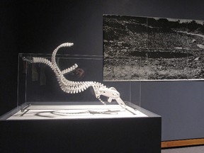 Francois-Matthieu Bouchard's 3D-printed piece "Meanders", left, and Florin Hategan's "The Rivers" are seen installed at the Shift Exhibition, inside the McMaster Museum of Art in this handout photo. THE CANADIAN PRESS/HO-McMaster Museum of Art