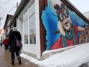 City council voted Wednesday to allow retail businesses in the Glebe BIA to open on New Year's Day, Family Day, Victoria Day, Canada Day, Labour Day and Thanksgiving Day.