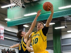 U of A Golden Bears forward Brody Clarke shoot over Trinity Western University Spartans Patrick Vandervelden on February 5.  (Greg Southam)