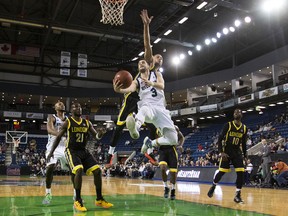 Garrett Williamson of the London Lightning goes up to block Sammy Zeglinski of the Niagara River Lions in National Basketball League of Canada action at the Meridian Centre in St. Catharines on Thursday. London won 114-102. (Julie Jocsak, Postmedia Network)
