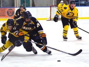 Bobby Mulligan of the Norfolk Vikings gets into a shoving match with Toronto Predators' Liam Beaudoin while pursuing the puck in a GMHL hockey game. Tillsonburg will be getting a Greater Metro Junior Hockey League franchise for 2016-17.  (Eddie Chau/Simcoe Reformer)